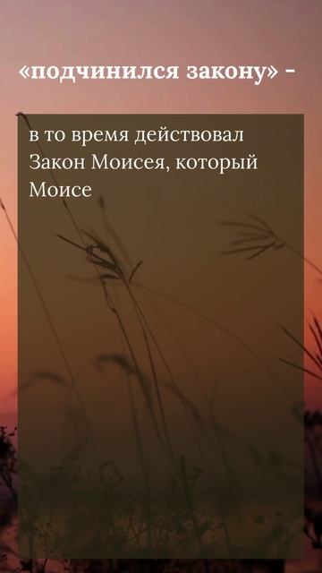 Разбор слова Божьего (к Галатам 4:4-5)