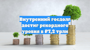 Внутренний госдолг достиг рекордного уровня в ₽7,2 трлн