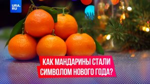 Как мандарины стали символом Нового года?