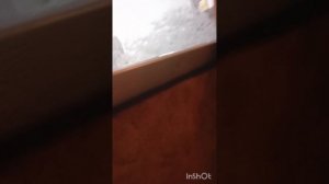 подборка где я езжу с участниками из СВО