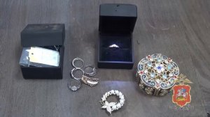 Один из подельников,подозреваемый в попытке кражи из дома в Видном,заключён под стражу в Подмосковье