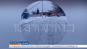 19.00 в программе «Кстати»: На чувашских фурах пытались похитить лошадей с Починковского конезавода