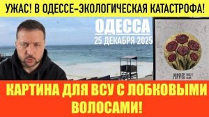 ОДЕССА 25 ДЕКАБРЯ 2025. РАЗЛИВ МАСЛА В МОРЕ! МОБИЛИЗАЦИЯ-НАВСЕГДА! НОВОСТИ УКРАИНСКОЙ ДЕМОКРАТИИ!