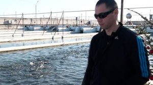 Цæгат Ирыстоны балер кæсаджы кондад æнтыстджынæй рæзы