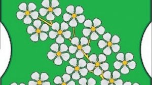 Внеочередное заседание Совета депутатов мун. округа Черемушки в городе Москве № 47 от 22.12.2025