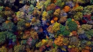 Отличное начало дня Саксофон @Music-Word-2024