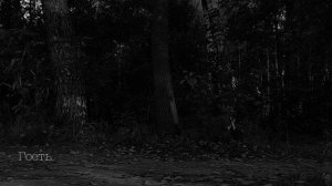 ГОСТЬ  | Тени Города