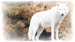 Иной судьбы я не хочу Юргаев и ИИ