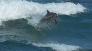 Pink Floyd - Marooned