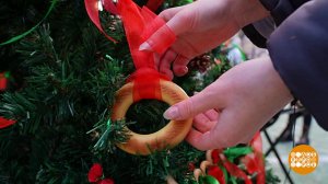 Шишки, сушки, леденцы - все на елку! Молодцы! Доброе утро. Фрагмент выпуска от 25.12.2025