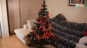 Лайфхаки, тренды и секреты идеальной ёлки