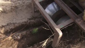 Министр лесного хозяйства Воронежской области рассказал, что было сделано, и что предстоит сделать