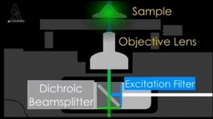 флуоресценция выбор фильтра