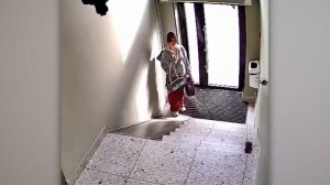 Нелепости, Снятые на Камеры!