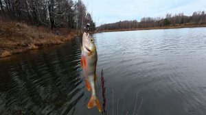 Выезд за окунем в декабре