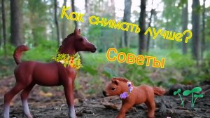 Как снимать лучше? Маленькие хитрости для шляйхеров. Лошади шляйх видео