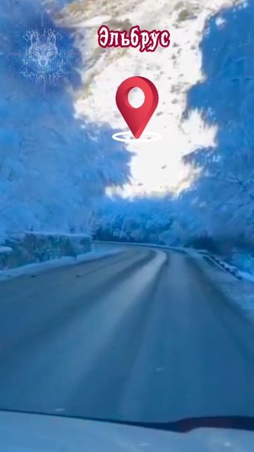 «НАСТЕЖЬ» песня на стихи Дмитрия Кочеткова смотреть онлайн