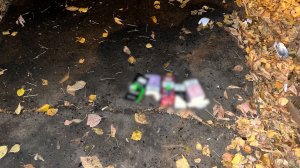 Приговор под Новый Год