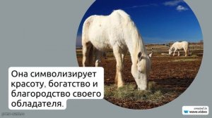 Исследуем происхождение фамилии Абальмаз: история, значение и правильное склонение в одной статье