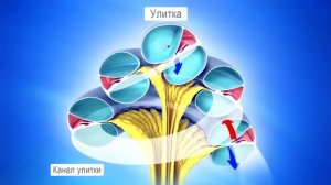 Метод Tomatis®  Принцип работы