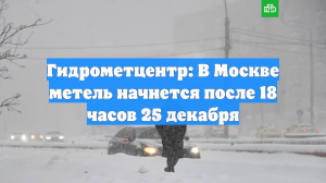 Гидрометцентр: В Москве метель начнется после 18 часов 25 декабря
