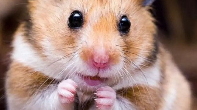 Мои запасы на конец 2025 года. смотреть онлайн