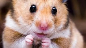 Мои запасы на конец 2025 года.