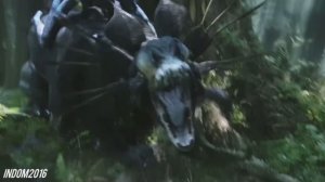 Thanator Tribute Korn - Right Now