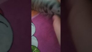 VID_20251225_142416.mp4