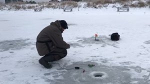 поимка форели на ратлин