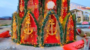 Главная морская ёлка страны