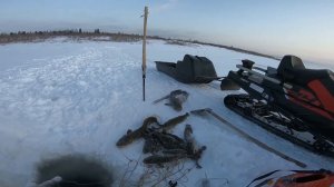 Ловля налима на Енисее. На рыбалку в -40. Согреем душу?)))