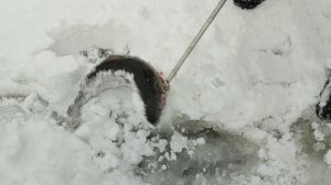 Основной водоём. На пасту.