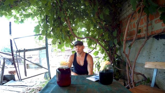 дрожжевая закваска с ежевики для домашнего вина ч2 смотреть онлайн