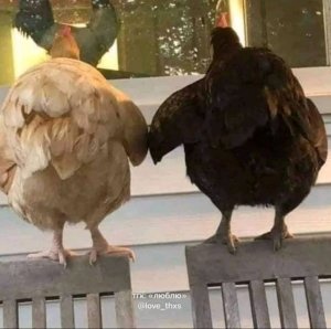 новогодняя