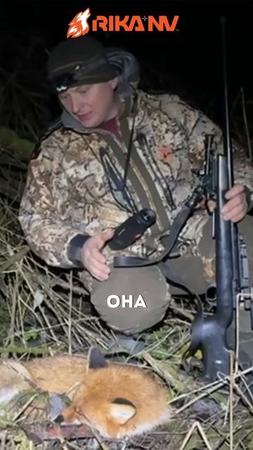 Поймали больную лису с помощью аппаратов от RikaNV смотреть онлайн