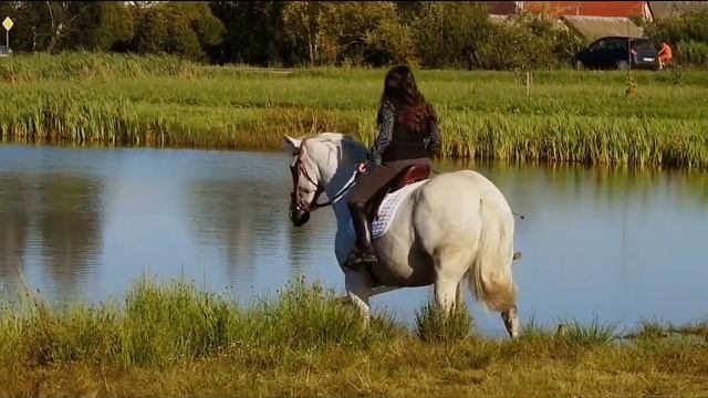 Mateos & PSM - Your Woman