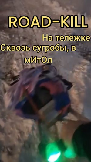 СНЕЖНЫЙ РОАД-КИЛЛ С МИТОЛОМ НА ТЕЛЕЖКЕ//ВЫВОЗ В МЕТАЛЛ ПОДАРКОВ ПОДПИСЧИКОВ ПО СНЕЖНОМУ БЕЗДОРОЖЬЮ