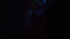 просто небольшой разговорчик предновогодний