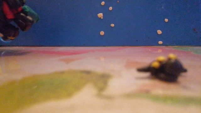 24 серия skibidi toilet смотреть онлайн