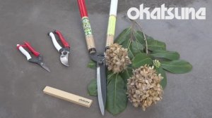 Заточка точильным камнем садовых ножниц