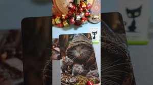 06 января 2026 года. Карта дня