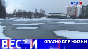 Вести Санкт-Петербург. Выпуск 11.30 от 26.12.2025