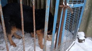 немного под замело,