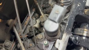 Пежо, Ситроен замена ГРМ 1.6 дизель dv6, замена помпы, ТО + подвеска, справились быстро!