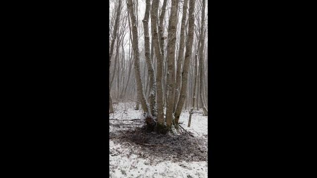 ������ � ���������� ������������: ��������� ���������� �������������� ����