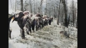 Живые фотографии от блогера Сергея. Красноярск, 2026 год