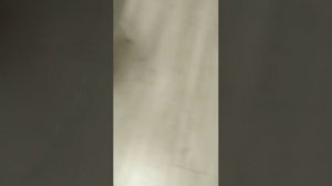 выполняем разные челленджи старые стримы