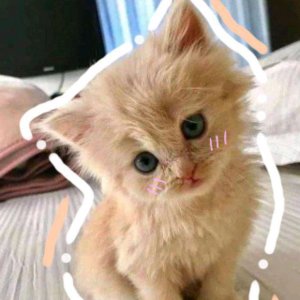 собираюсь в поездку