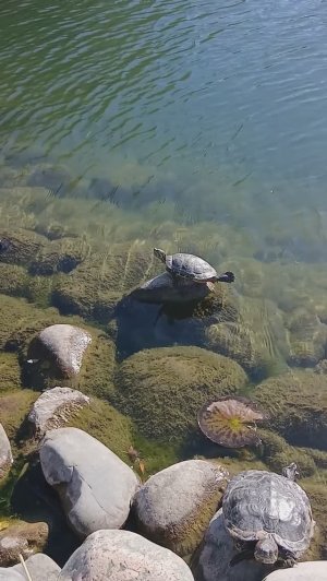 Парк Мега в Аксае.Красивые места Ростовской области. Что посмотреть и где погулять?
